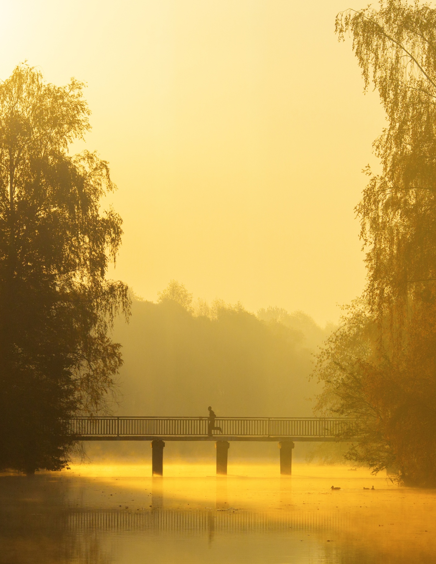 Bridge crossing a misty golden landscape at dawn
